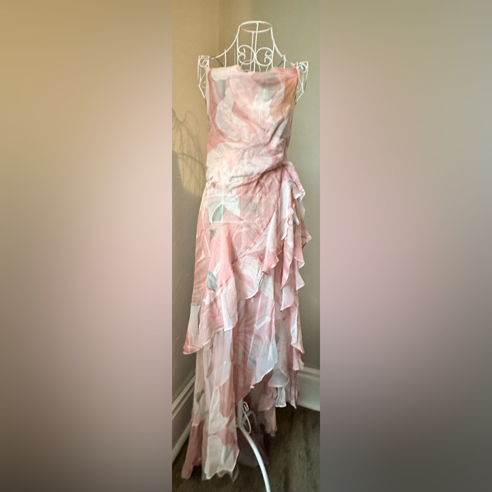 Retrofete Samara Silk Chiffon Dress in Dusty Pink Botanical $798 - Picture 10 of 16